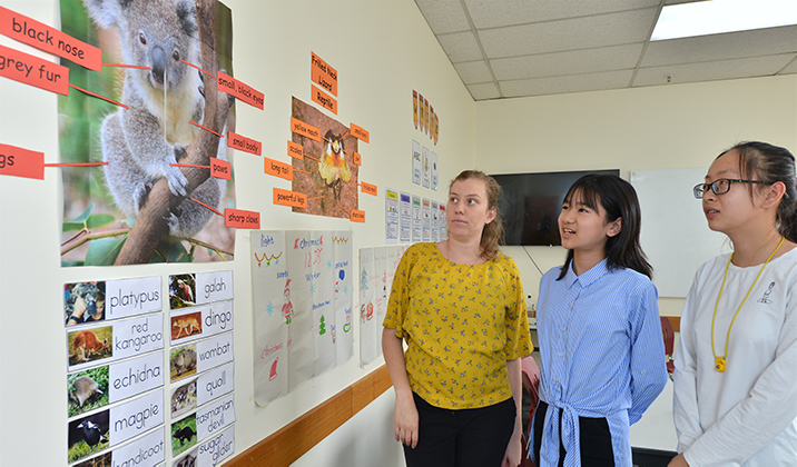 <span>English </span> English for Academic Purpose - Elementary to Advanced